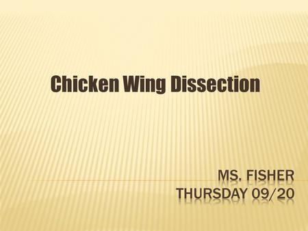 Chicken Wing Dissection