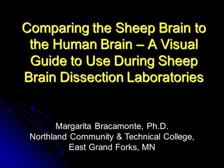 Comparing the Sheep Brain to the Human Brain – A Visual Guide to Use During Sheep Brain Dissection Laboratories Margarita Bracamonte, Ph.D.