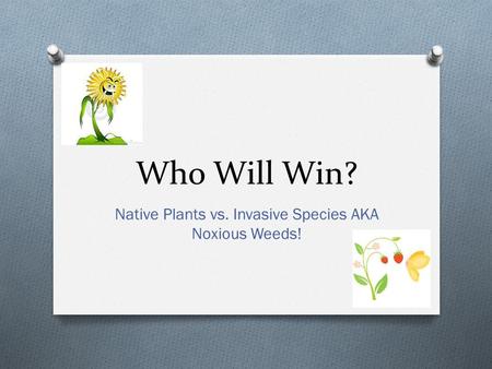 Native Plants vs. Invasive Species AKA Noxious Weeds!