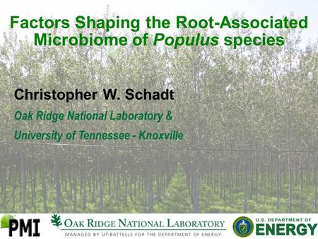 Factors Shaping the Root-Associated Microbiome of Populus species Christopher W. Schadt Oak Ridge National Laboratory & University of Tennessee - Knoxville.