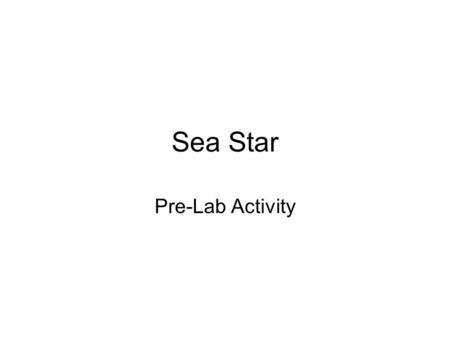 Sea Star Pre-Lab Activity.