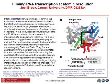 CHESS DMR-0936384 2013 Filming RNA transcription at atomic resolution Joel Brock, Cornell University, DMR-0936384 Structure of the transcript initiation.