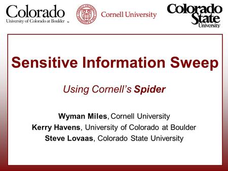 Sensitive Information Sweep