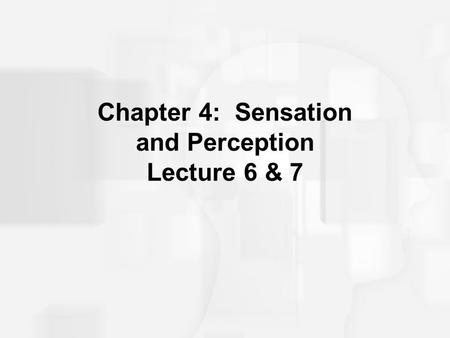 Chapter 4: Sensation and Perception Lecture 6 & 7