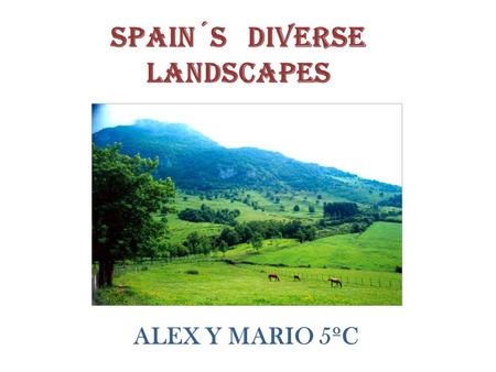 Spain´s diverse landscapes