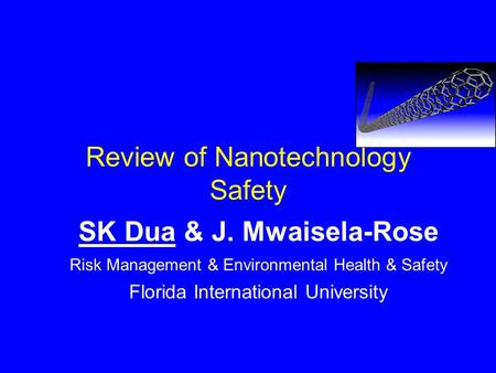 Review of Nanotechnology Safety SK Dua & J. Mwaisela-Rose Risk Management & Environmental Health & Safety Florida International University.