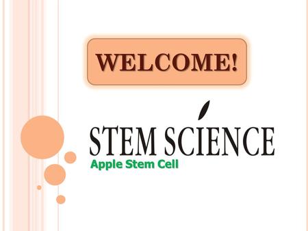 WELCOME! Apple Stem Cell. Stem cells are life's growth and development in the trunk of cells Stem Cell is important for Life Growth which is like building’s.