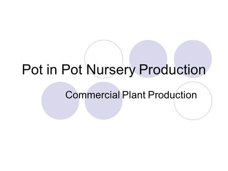 Pot in Pot Nursery Production