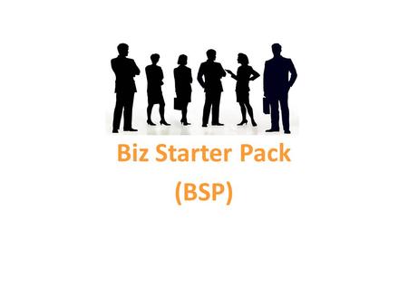 Biz Starter Pack (BSP).