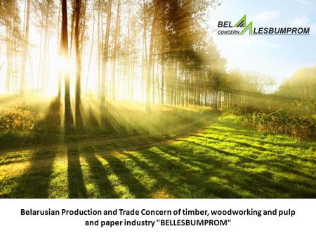 Belarusian Production and Trade Concern of timber, woodworking and pulp and paper industry BELLESBUMPROM