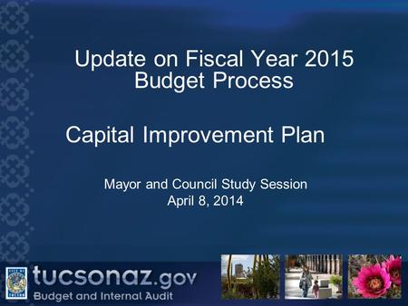 Update on Fiscal Year 2015 Budget Process Capital Improvement Plan Mayor and Council Study Session April 8, 2014.