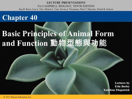 Basic Principles of Animal Form and Function 動物型態與功能