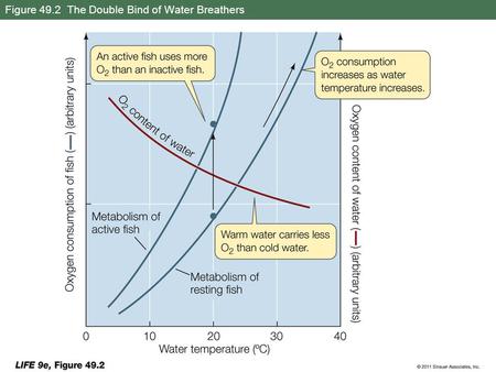 Figure 49.2 The Double Bind of Water Breathers. Figure 49.3 Gas Exchange Systems.