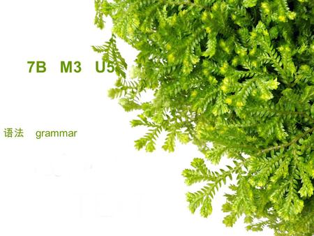 7B M3 U5 语法 grammar. 一. 数词 1. 基数词 2. 序数词 first second third fifth eighth ninth twelfth 以上为序数词特殊形式，需要记住。 整数基数词变序数词， y 变 i,+eth twenty - twentieth.