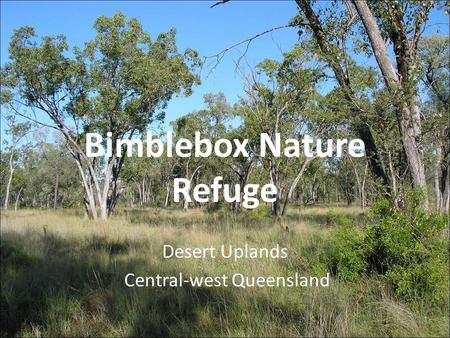 Bimblebox Nature Refuge Desert Uplands Central-west Queensland.