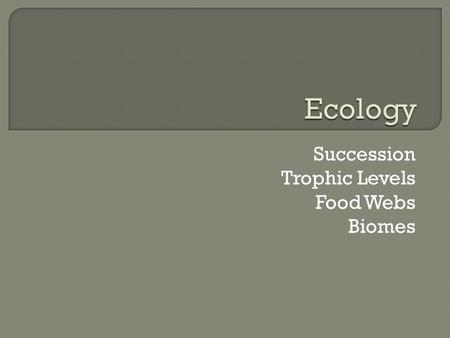 Succession Trophic Levels Food Webs Biomes.  Series of predictable changes that occur over time in response to disturbances.  Two types Primary –Occurs.