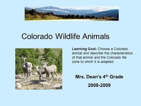 Colorado Wildlife Animals Mrs. Dean’s 4 th Grade 2008-2009 Learning Goal: Choose a Colorado animal and describe the characteristics of that animal and.