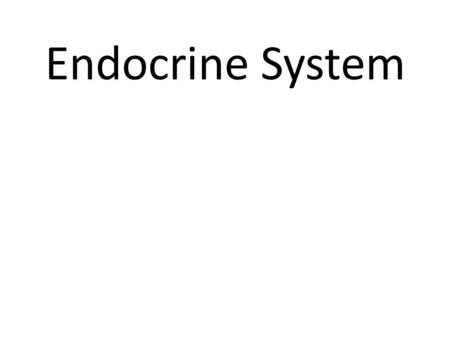 Endocrine System.