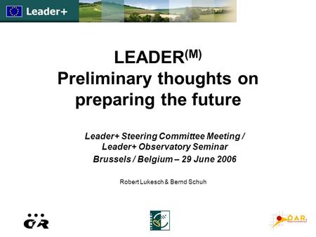 LEADER (M) Preliminary thoughts on preparing the future Leader+ Steering Committee Meeting / Leader+ Observatory Seminar Brussels / Belgium – 29 June 2006.