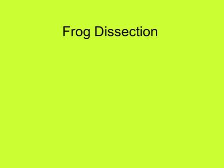 Frog Dissection.