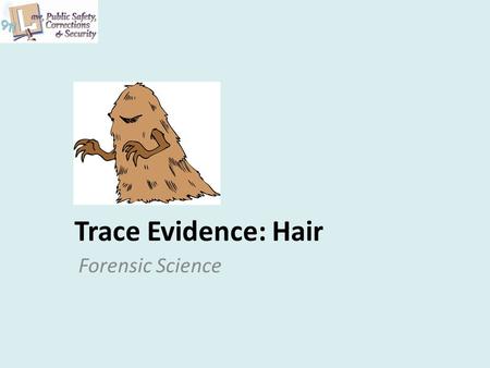 Trace Evidence: Hair Forensic Science. 2 Copyright and Terms of Service Copyright © Texas Education Agency, 2011. These materials are copyrighted © and.