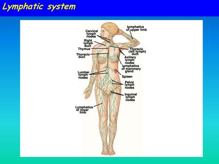 Lymphatic system Circulatory Systems - 1 January 2005.