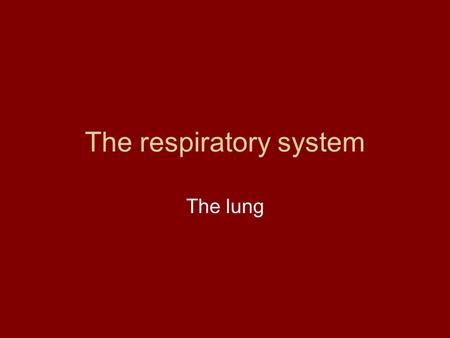 The respiratory system