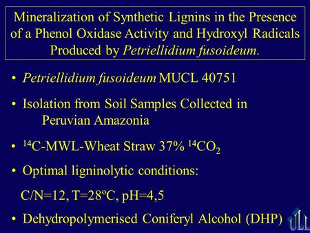 Mineralization of Synthetic Lignins in the Presence of a Phenol Oxidase Activity and Hydroxyl Radicals Produced by Petriellidium fusoideum. Petriellidium.