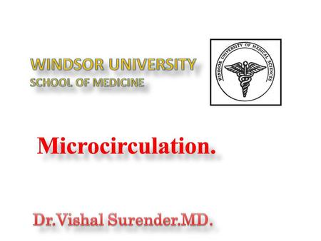 WINDSOR UNIVERSITY SCHOOL OF MEDICINE