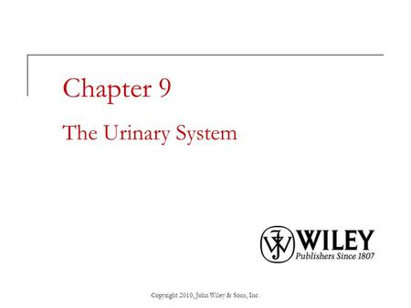 Chapter 9 The Urinary System