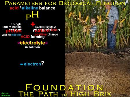 A p H p Foundation ercent ydronium ionydrogen ion proton positive positive charge ? smallest, lightest cation ACID The Path to High Brix Parameters for.