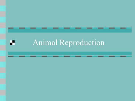 Animal Reproduction.