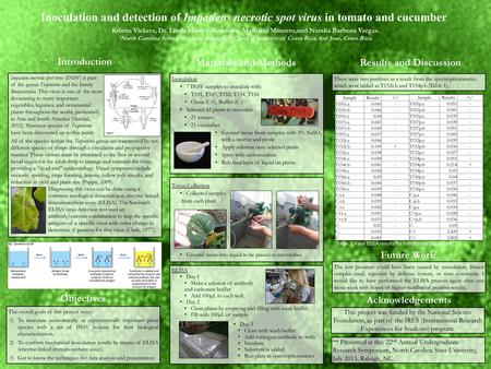 Inoculation and detection of Impatiens necrotic spot virus in tomato and cucumber Objectives Kristin Vickers, Dr. Linda Hanley-Bowdoin, Mauricio Montero,and.