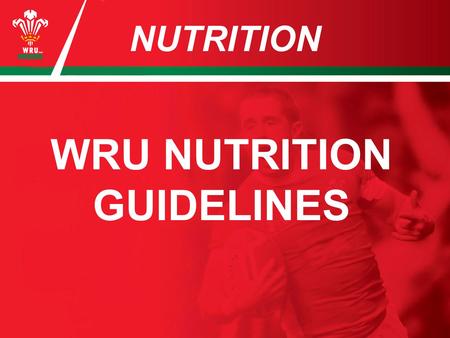 NUTRITION WRU NUTRITION GUIDELINES. HYDRATION You need to drink a minimum of 3 litres a day + whatever is required in training. Drink little and often.