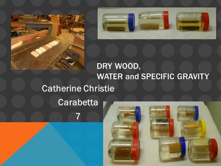 DRY WOOD, WATER and SPECIFIC GRAVITY Catherine Christie Carabetta 7.