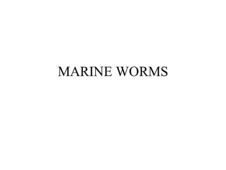 MARINE WORMS.