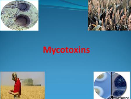 Mycotoxins.