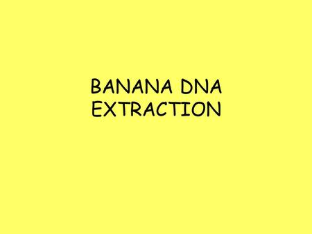 BANANA DNA EXTRACTION.