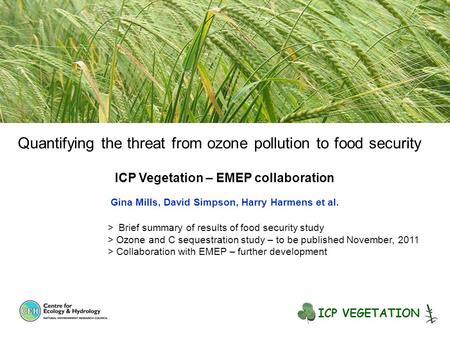 Quantifying the threat from ozone pollution to food security ICP Vegetation – EMEP collaboration Gina Mills, David Simpson, Harry Harmens et al. > Brief.