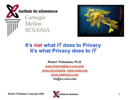 Robert Thibadeau, Copyright 2000 1 It’s not what IT does to Privacy it’s what Privacy does to IT Robert Thibadeau, Ph.D. www.internetlab.ri.cmu.edu www.w3.org/p3pwww.w3.org/p3p.