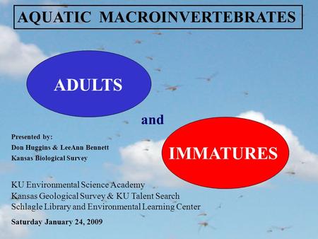 ADULTS and IMMATURES AQUATIC MACROINVERTEBRATES KU Environmental Science Academy Kansas Geological Survey & KU Talent Search Schlagle Library and Environmental.