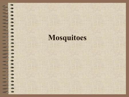 Mosquitoes.