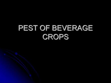 PEST OF BEVERAGE CROPS. COCOA Conopomorpha cramerella cocoa pod borer cocoa pod borer Moth: Gracillariidae Moth: Gracillariidae small small lay eggs.