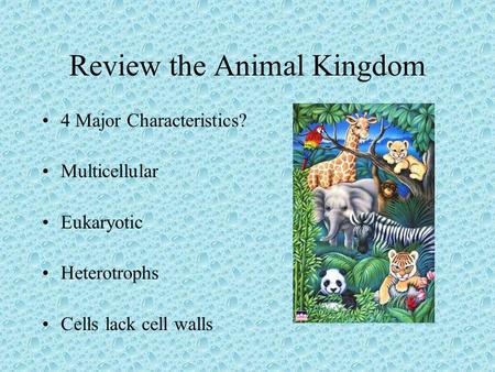 Review the Animal Kingdom