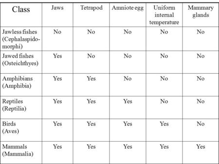 Class JawsTetrapodAmniote eggUniform internal temperature Mammary glands Jawless fishes (Cephalaspido- morphi) No Jawed fishes (Osteichthyes) YesNo Amphibians.