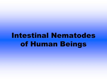 Intestinal Nematodes of Human Beings