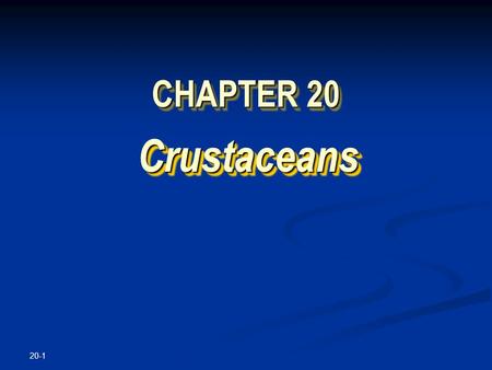 20-1 CHAPTER 20 Crustaceans Crustaceans. Copyright © The McGraw-Hill Companies, Inc. Permission required for reproduction or display. 20-2 Sally Lightfoot.