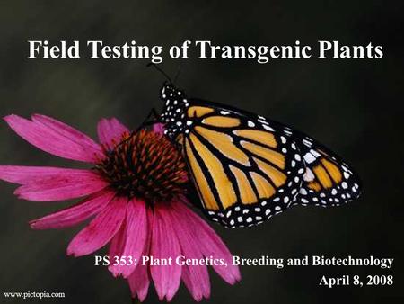 Field Testing of Transgenic Plants PS 353: Plant Genetics, Breeding and Biotechnology April 8, 2008 www.pictopia.com.