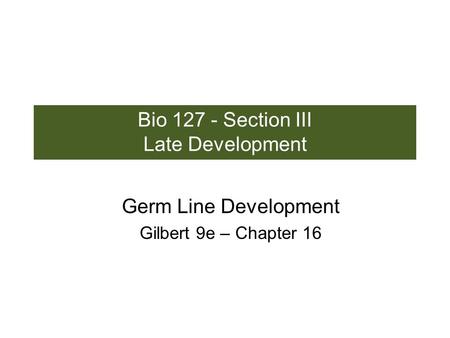 Bio 127 - Section III Late Development Germ Line Development Gilbert 9e – Chapter 16.