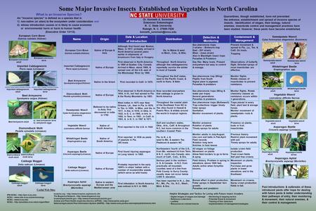 Some Major Invasive Insects Established on Vegetables in North Carolina Dr. Kenneth A. Sorensen Extension Entomologist N. C. State University Raleigh,